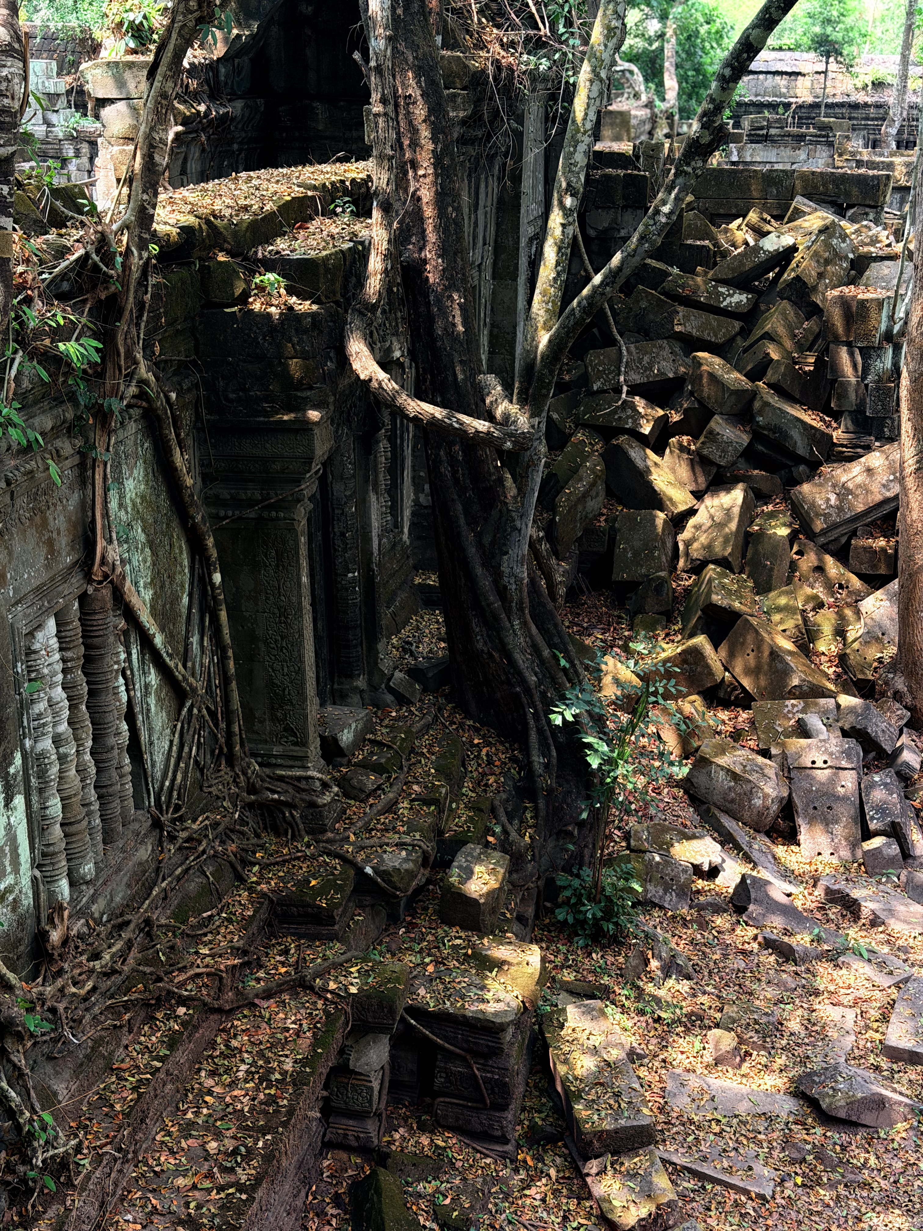 崩密列丛林寺庙