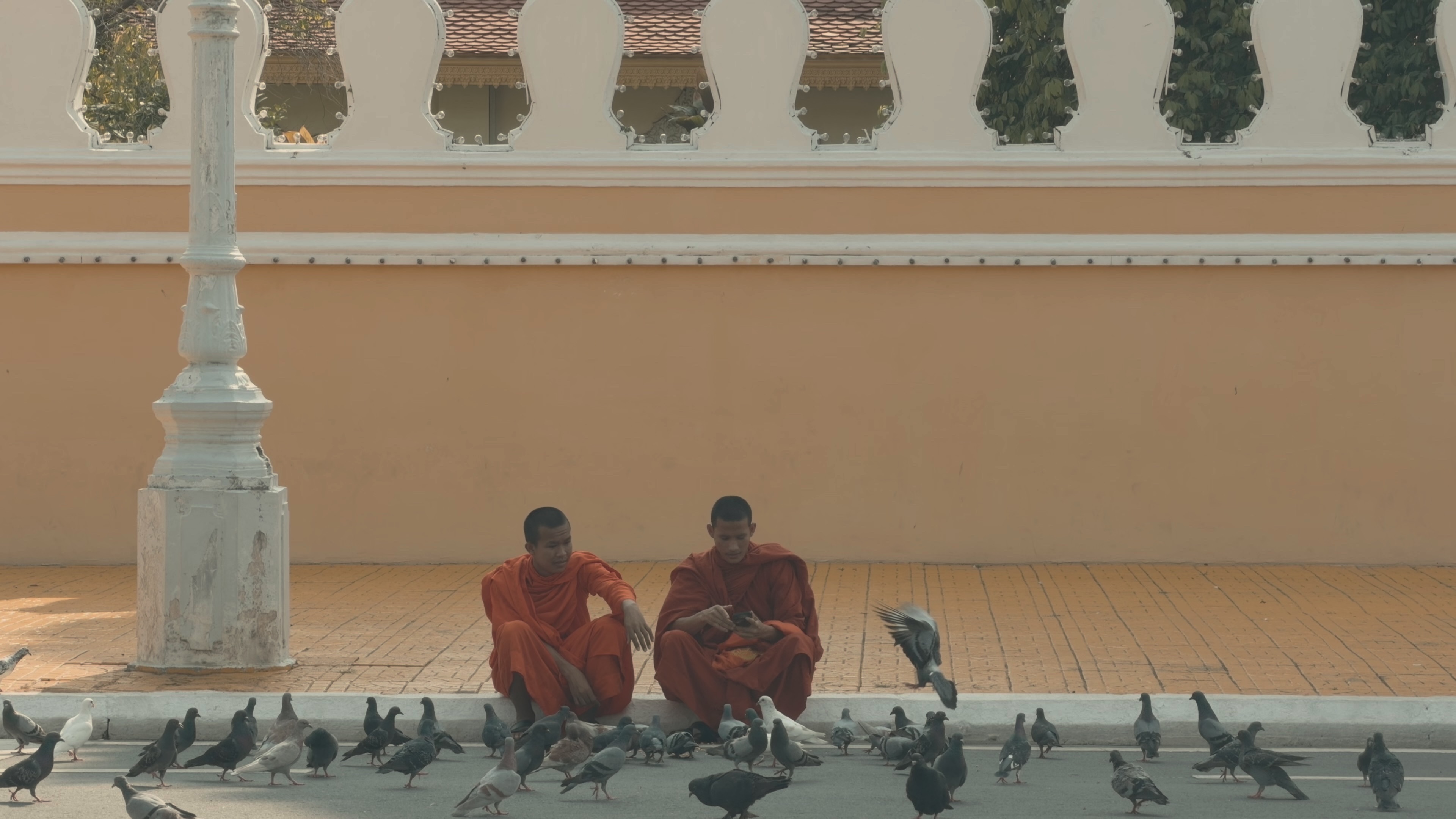 暹粒僧侣与鸽子