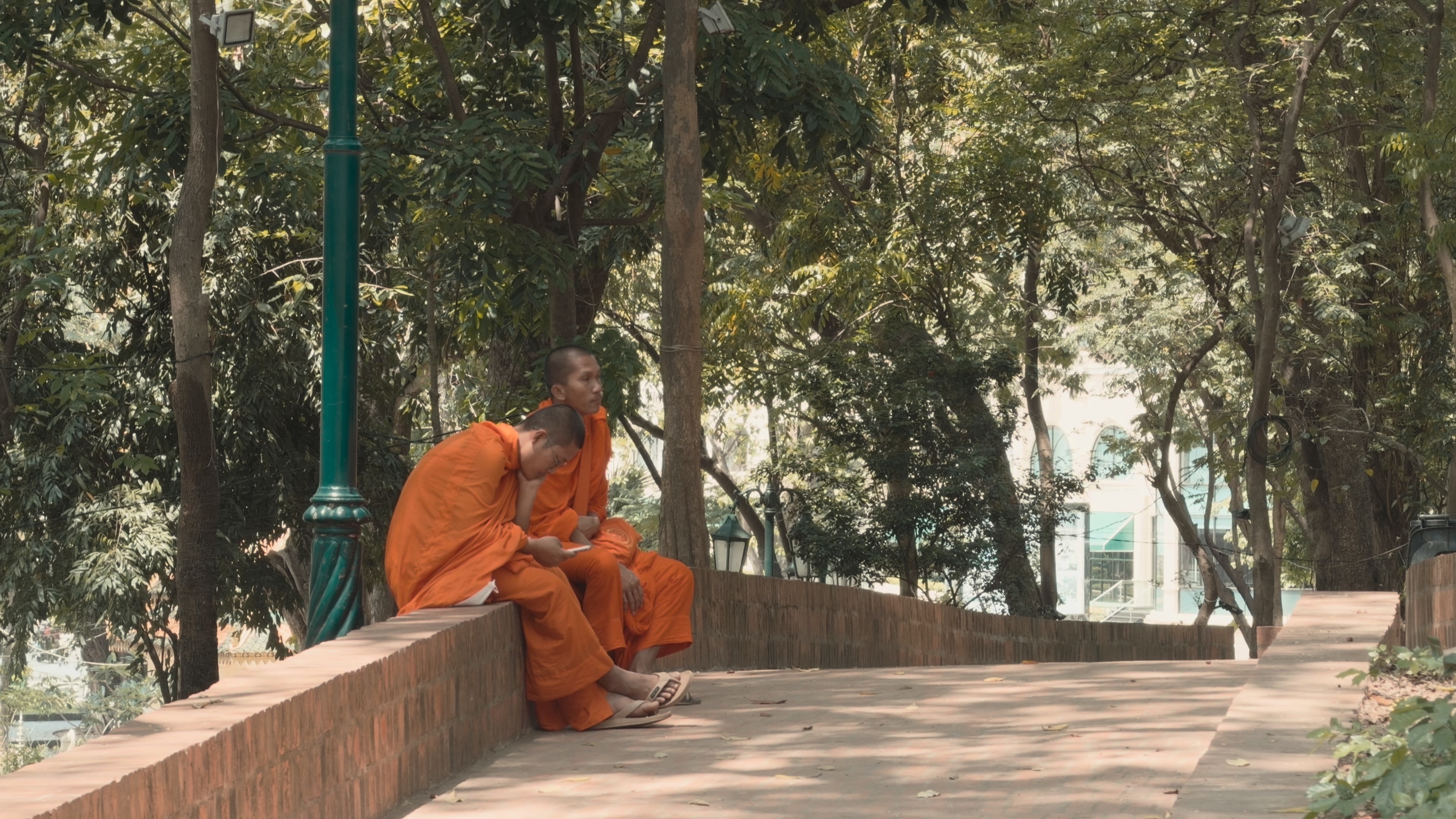 僧侣坐在树下